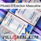 Male Erection Pills kamagra1